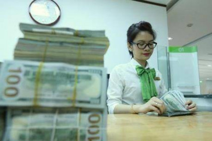 Giá USD hôm nay  7/11 tại Vietcombank ổn định