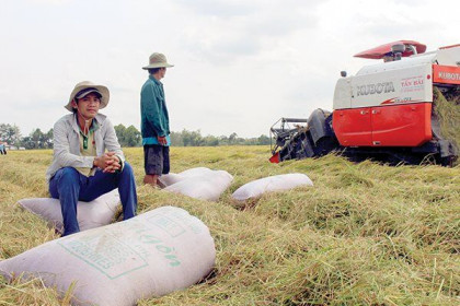 “Ì ạch” nông, lâm, thủy sản vào Trung Quốc