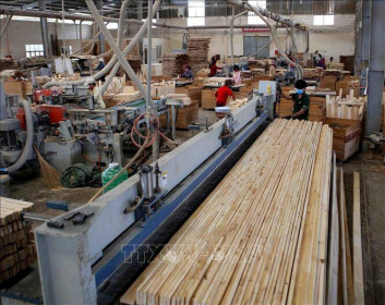 Tạm ngừng kinh doanh tạm nhập tái xuất gỗ dán sang Hoa Kỳ