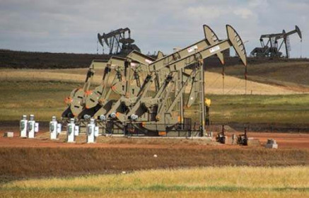 Giá xăng, dầu (21/11): Tiếp tục giảm