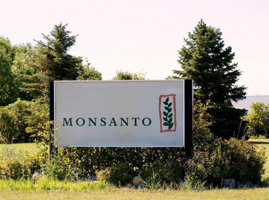 Nhân viên Monsanto người Trung Quốc bị tố trộm bí mật thương mại