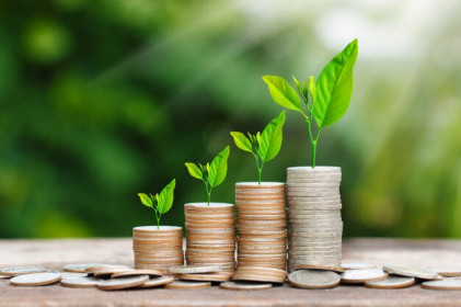 Top cổ phiếu đáng chú ý đầu phiên 22/11