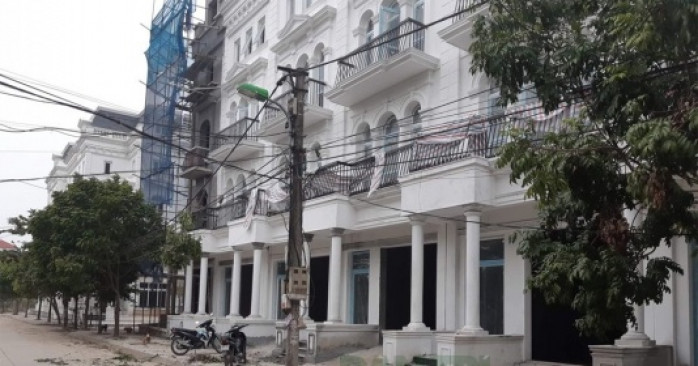 Hà Nội: Truy tìm các đối tượng chặt hạ cây xanh trong đêm