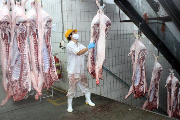 Giá thịt heo giảm do không chắc chắn nhu cầu nhập từ Trung Quốc