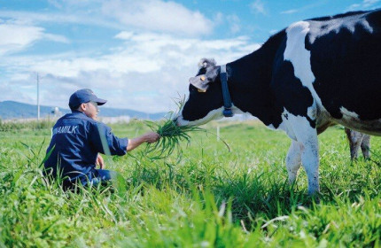 Vinamilk muốn nâng sở hữu tại GTNFoods lên 75%