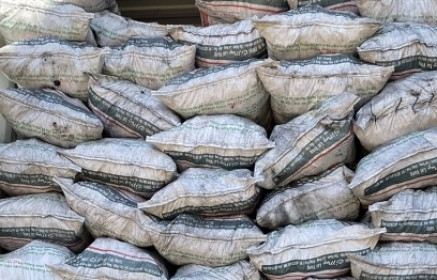 Bình Phước: Phát hiện 20 tấn than củi nhập lậu qua đường mòn