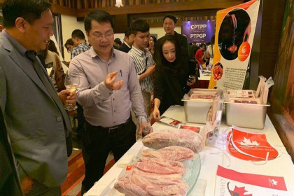 Bộ Tài chính muốn giảm thuế nhập khẩu thịt gà và heo