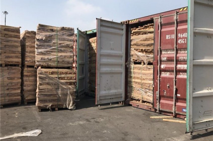 TP. HCM: Lô hàng gỗ 11 tỷ đồng gian lận thuế bị bắt giữ