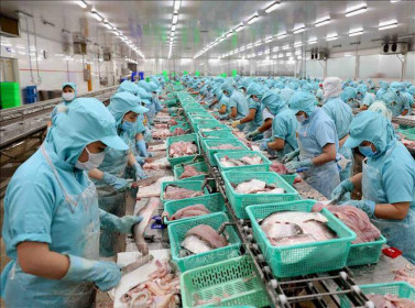 Nâng cao giá trị xuất khẩu cá tra thích ứng với thị trường thế giới