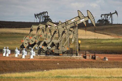 Giá xăng, dầu (12/12): Giảm nhẹ do dàu thô tồn kho của Mỹ tăng cao