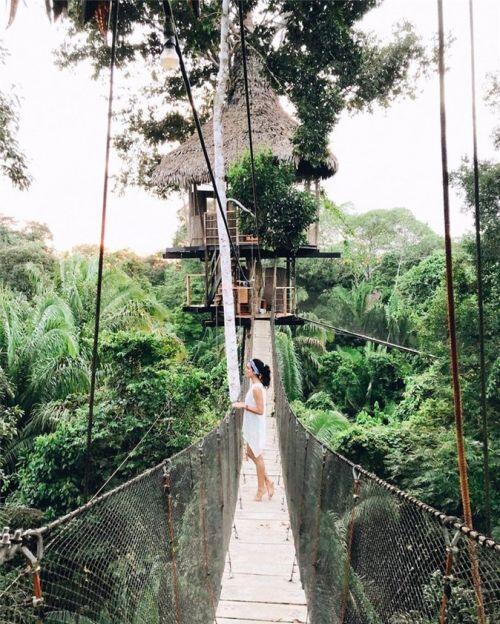 Những ngôi nhà trên cây tuyệt đẹp ai cũng muốn sống thử