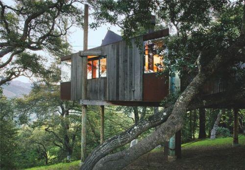 Những ngôi nhà trên cây tuyệt đẹp ai cũng muốn sống thử