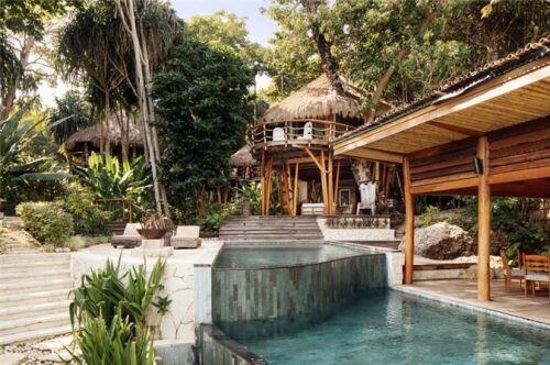 Những ngôi nhà trên cây tuyệt đẹp ai cũng muốn sống thử