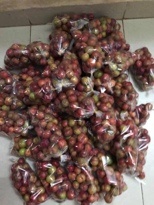 Mận trái mùa giá “chát” rao bán đầy trên mạng, NTD coi chừng hàng Tàu
