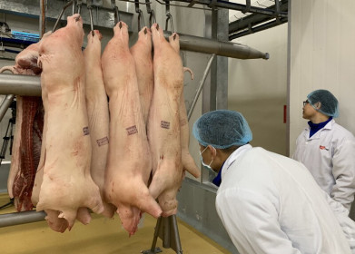 Thịt lợn 280 ngàn/kg, nhập khẩu tăng 100% vẫn không đủ ăn