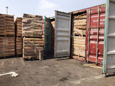 Phát hiện doanh nghiệp xuất khẩu 25 container gỗ trốn thuế gần 3 tỷ đồng