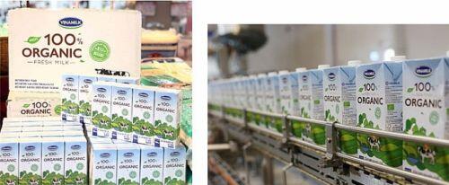 Sữa tươi organic của Vinamilk  “bắt sóng” người tiêu dùng Singapore
