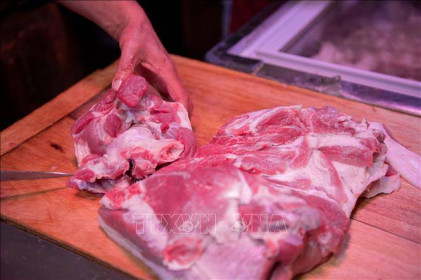 Anh kỳ vọng vào xuất khẩu thịt lợn sang Trung Quốc