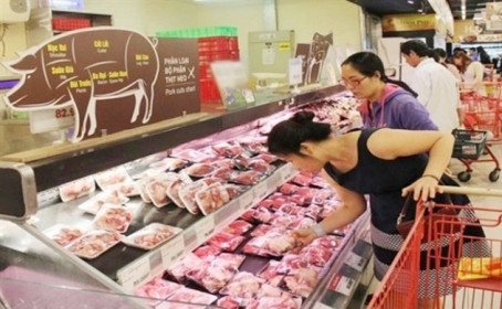 Lý giải nguyên nhân giá thịt lợn tăng mạnh