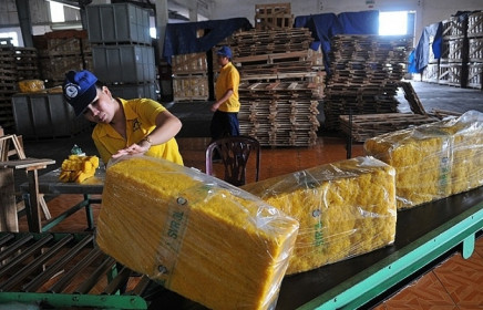 Thị trường Chiết Giang (Trung Quốc): Hấp dẫn nhờ nhu cầu 1,1 triệu tấn cao su/năm