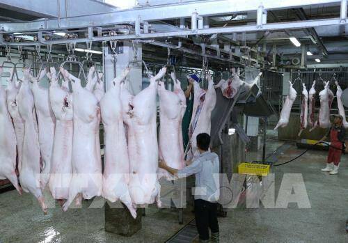 Thị trường thịt lợn: Đảm bảo nguồn cung với giá hợp lý