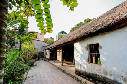 Độc nhất nhà cổ 300 tuổi làm từ gỗ lim, giữa vườn xanh mát mắt ở Hà Nội