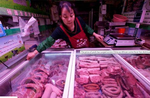 Thời buổi thịt lợn giá "cao ngất", ngân hàng dùng phần thưởng lạ đời khiến khách thích mê