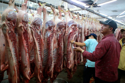 Giá heo hơi ngày cuối tuần: ‘Dưới 100.000 đồng/kg không bán!’
