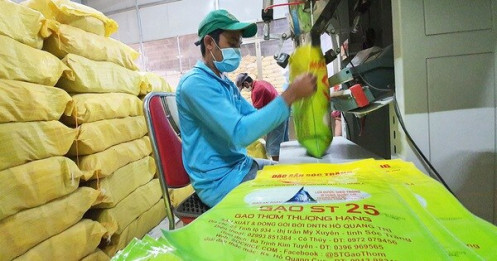 Mới về Việt Nam 3 ngày, kỹ sư Cua thấy tràn lan gạo ST25 'dỏm', sang tới Mỹ