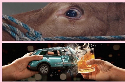 Từ 1/1/2020: Chọn bia rượu hoặc lái xe, không để vật nuôi nhìn đồng loại bị giết mổ