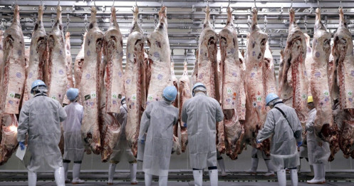 Quá thèm thịt, Trung Quốc dỡ bỏ lệnh cấm 18 năm đối với thịt bò Nhật Bản