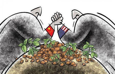 Có lý do để hoài nghi việc Trung Quốc mua thêm nông sản Mỹ theo thỏa thuận giai đoạn 1