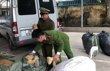 Lạng Sơn: Thu giữ gần 500kg thuốc bắc không rõ nguồn gốc