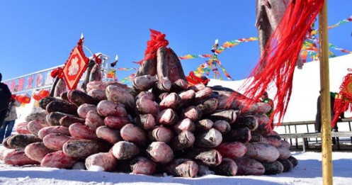 Con cá mè hoa khổng lồ bán với giá gần 9,8 tỉ đồng