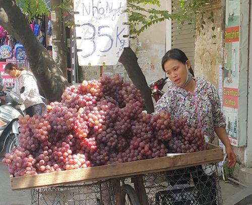 Sự thật "hãi hùng" nho Ninh Thuận 35.000 đồng/kg bán đầy đường
