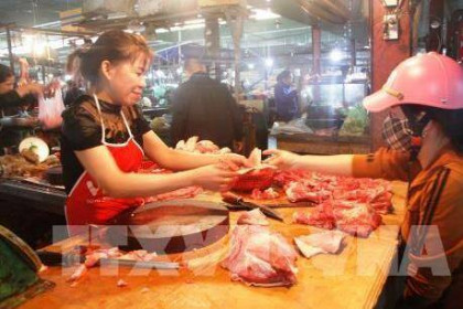 Giá thịt lợn sẽ tiếp tục tăng trong thời gian tới