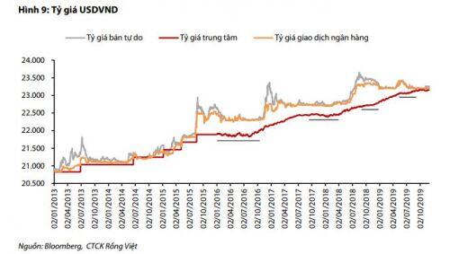 VDSC: Tỷ giá trong năm 2020 là một ẩn số