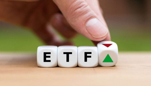 [Infographics] Nhìn lại các đợt đảo danh mục của VNM ETF và FTSE ETF năm 2019