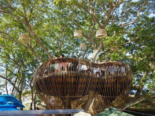 Cận cảnh những ngôi nhà “treo mình” trên cây, “độc” nhất Việt Nam