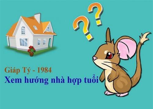 Tuổi Tý hợp hướng nào hứng tài lộc vào nhà?