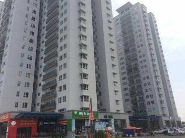 36.000 căn chung cư tại Hà Nội được mở bán trong năm 2019