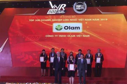 Công bố Top 500 doanh nghiệp lớn nhất Việt Nam năm 2019