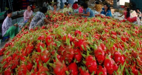 Năm 2020, xuất khẩu rau quả Việt Nam sang Trung Quốc thế nào?