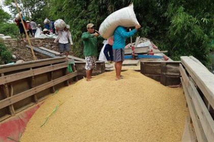 Từ thị trường Hàn Quốc mở cửa, đến cơ hội của gạo Việt Nam