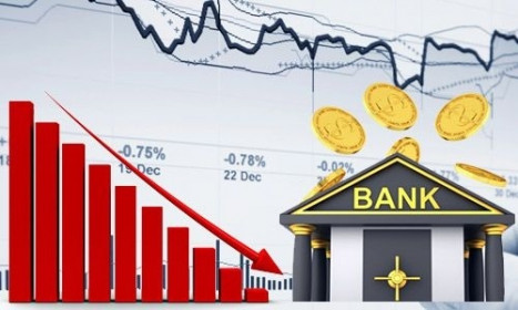 Ông Trần Xuân Bách (BVS): ‘Chỉ số ít cổ phiếu ngân hàng có thể đánh bại được thị trường năm 2020’