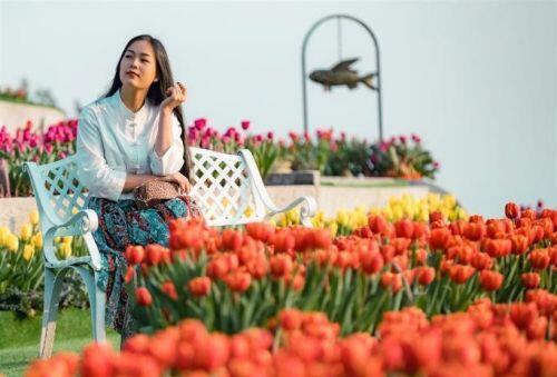 Bà Nà khai hội hoa xuân, du khách mê mẩn giữa 1,5 triệu bông tulip