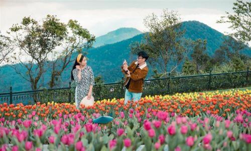 Bà Nà khai hội hoa xuân, du khách mê mẩn giữa 1,5 triệu bông tulip