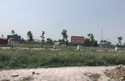 Sau kết luận thanh tra 9 lô đất tại Hà Nội: Lã Vọng lên tiếng “kêu oan”