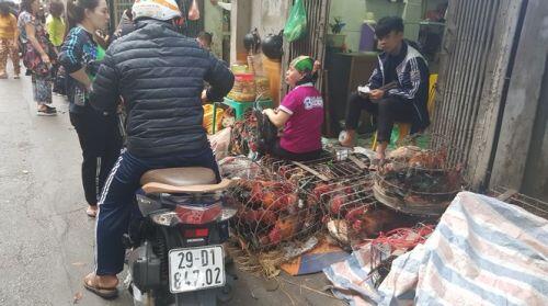 Hà Nội: Giá thịt lợn, thịt gà tăng kỷ lục, người dân chen nhau mua 30 Tết