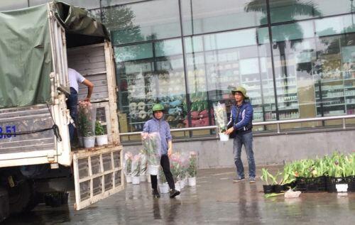 Chiều 30 Tết: Dân thủ đô đội mưa mua hoa 'giá bèo'